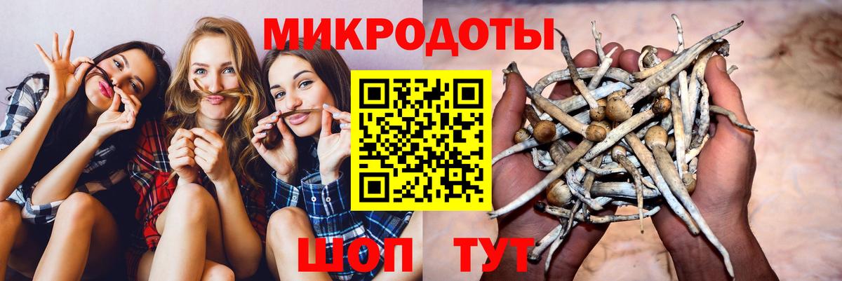 Псилоцибиновые грибы мицелий Рассказово