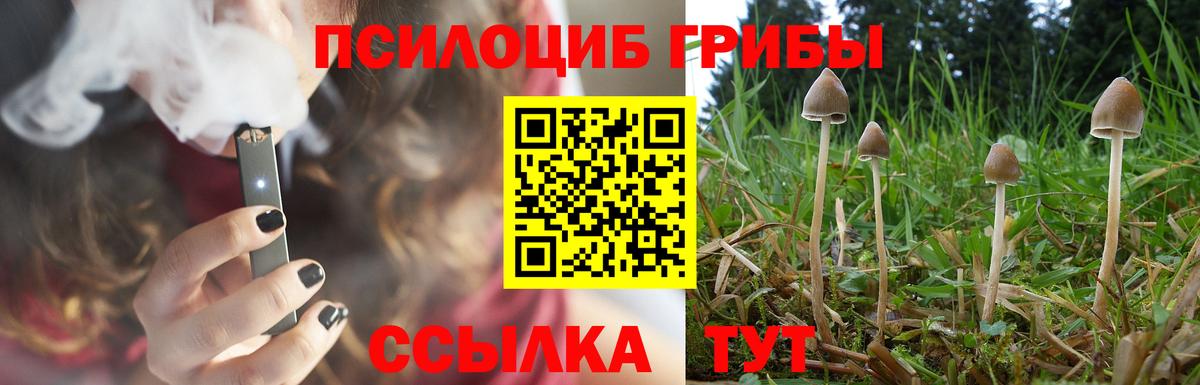 Псилоцибиновые грибы прущие грибы  Вход с VPN  Рассказово  купить наркотик  Галлюциногенные грибы прущие грибы 